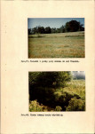 EP - Ewidencja parkowa, skan nr 33