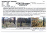 Karta biała, skan nr 17