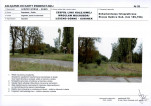 Karta biała, skan nr 113