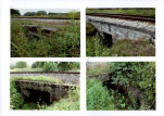 Karta biała, skan nr 136