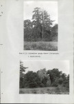 Ewidencja parkowa, skan nr 83