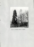 Ewidencja parkowa, skan nr 99