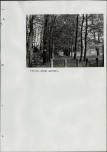 Ewidencja parkowa, skan nr 102
