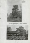 Ewidencja parkowa, skan nr 103