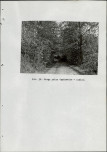 Ewidencja parkowa, skan nr 104