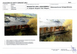 Karta biała, skan nr 13