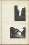 Ewidencja parkowa, skan nr 29
