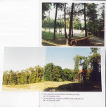 EP - Ewidencja parkowa, skan nr 90