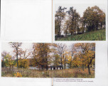 EP - Ewidencja parkowa, skan nr 84