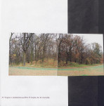 EP - Ewidencja parkowa, skan nr 91