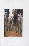 EP - Ewidencja parkowa, skan nr 98