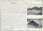 Karta biała, skan nr 69