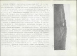 KB - Karta biała, skan nr 70