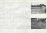 KB - Karta biała, skan nr 82