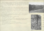 KB - Karta biała, skan nr 102