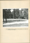 EP - Ewidencja parkowa, skan nr 129