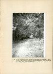 EP - Ewidencja parkowa, skan nr 133