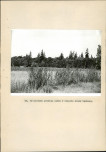 EP - Ewidencja parkowa, skan nr 138