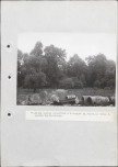 EP - Ewidencja parkowa, skan nr 75