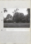 EP - Ewidencja parkowa, skan nr 77