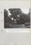 EP - Ewidencja parkowa, skan nr 79
