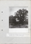 EP - Ewidencja parkowa, skan nr 88