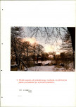 EP - Ewidencja parkowa, skan nr 95