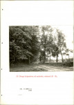 EP - Ewidencja parkowa, skan nr 114