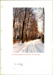 EP - Ewidencja parkowa, skan nr 115