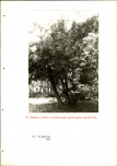 EP - Ewidencja parkowa, skan nr 128