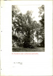 EP - Ewidencja parkowa, skan nr 131