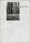 EP - Ewidencja parkowa, skan nr 88