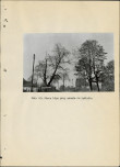 EP - Ewidencja parkowa, skan nr 108