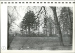 EP - Ewidencja parkowa, skan nr 104