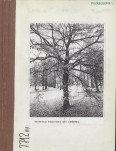 EP - Ewidencja parkowa, skan nr 67