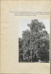 EP - Ewidencja parkowa, skan nr 98