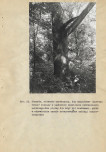 EP - Ewidencja parkowa, skan nr 101