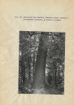 EP - Ewidencja parkowa, skan nr 102