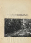 EP - Ewidencja parkowa, skan nr 104