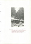 EP - Ewidencja parkowa, skan nr 144