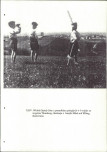 EP - Ewidencja parkowa, skan nr 161