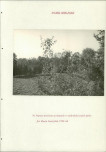 EP - Ewidencja parkowa, skan nr 211