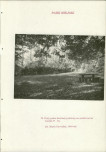 EP - Ewidencja parkowa, skan nr 222