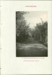 EP - Ewidencja parkowa, skan nr 223