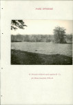EP - Ewidencja parkowa, skan nr 226
