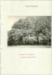EP - Ewidencja parkowa, skan nr 228