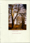 EP - Ewidencja parkowa, skan nr 229
