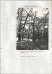 EP - Ewidencja parkowa, skan nr 183