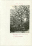 EP - Ewidencja parkowa, skan nr 190