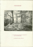 EP - Ewidencja parkowa, skan nr 196